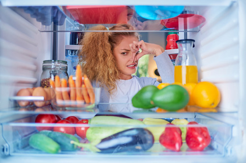 Как избавиться от неприятного запаха в холодильнике — причины и устранение