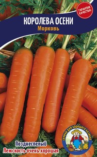 Советы, способы и рекомендации как хранить морковь