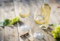 Практичные советы о том, как хранить вино в домашних условиях